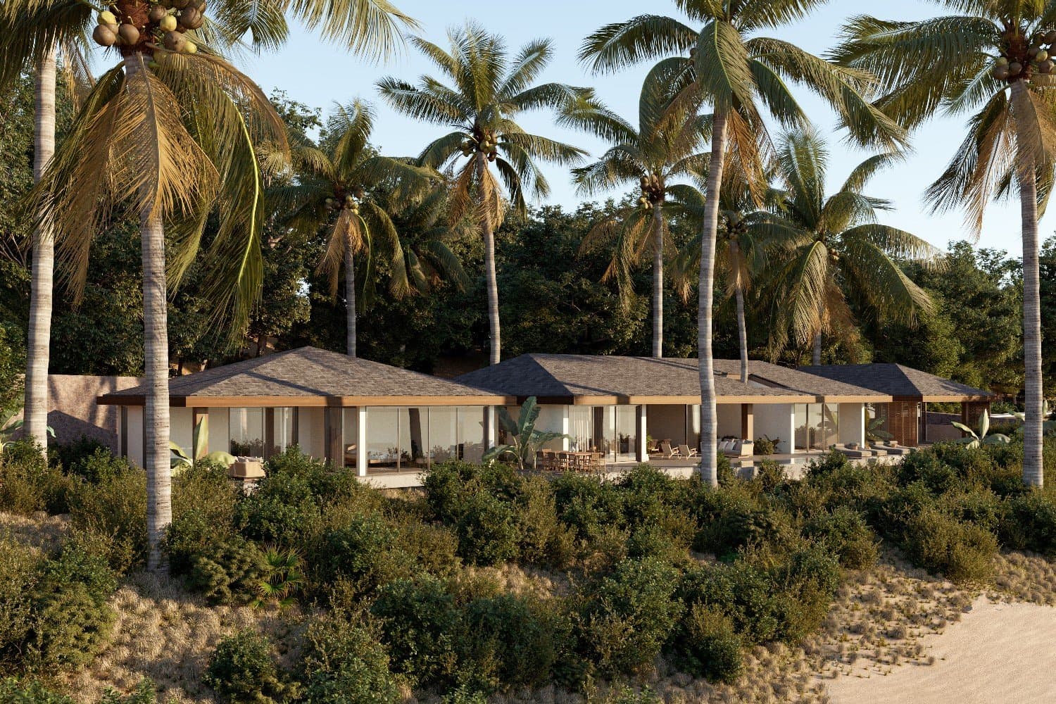 Beachfront villa among the palms